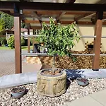 Bamberger Mit Wintergarten Апартаменты Шмалькальден