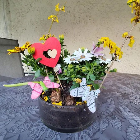 Bamberger Mit Wintergarten * اشمالكالدن