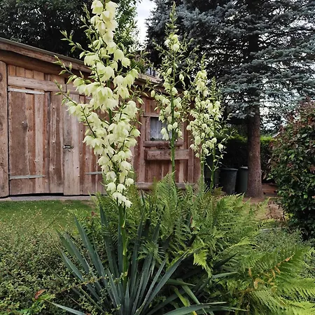 Bamberger Mit Wintergarten Lejlighed *