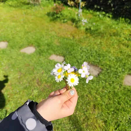 Bamberger Mit Wintergarten * Schmalkalden