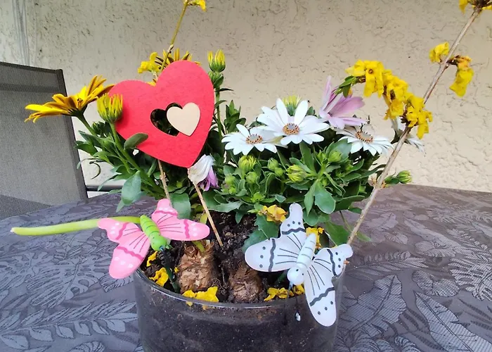 Bamberger Mit Wintergarten * Schmalkalden