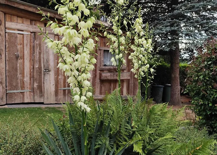 Bamberger Mit Wintergarten شقة *